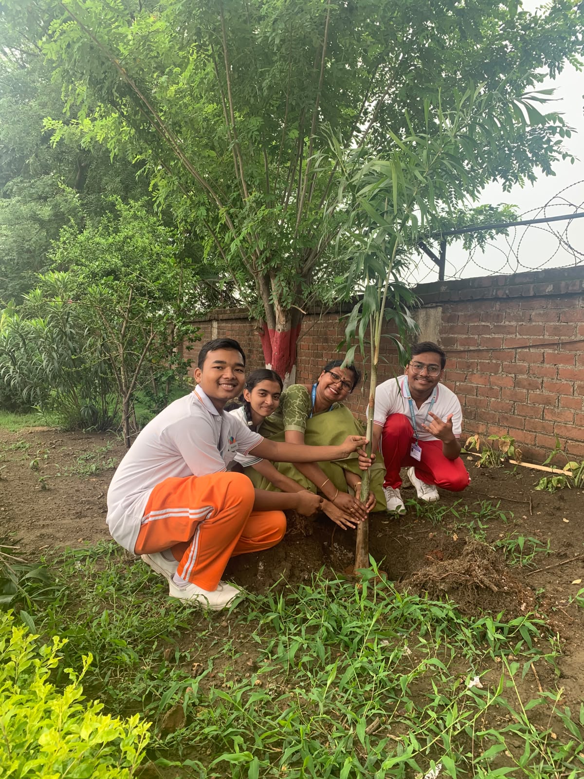 Plantation