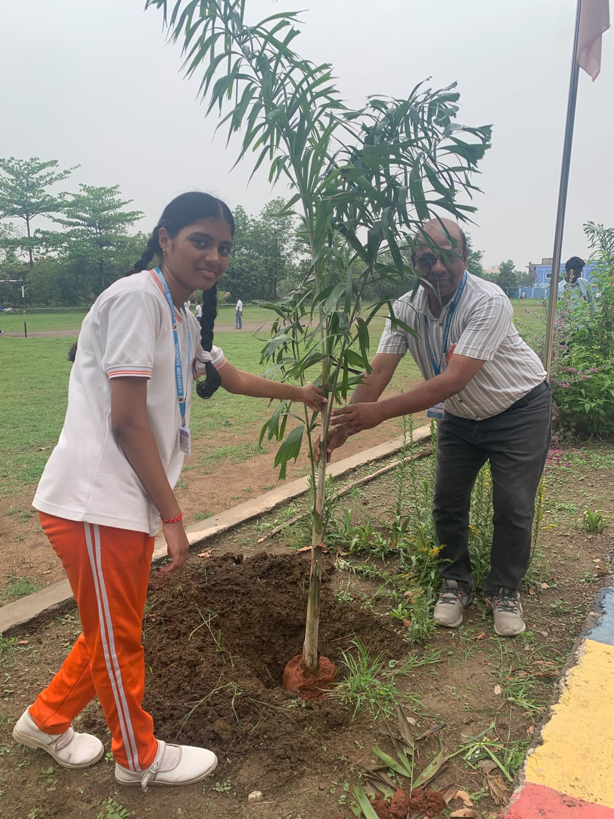 Plantation
