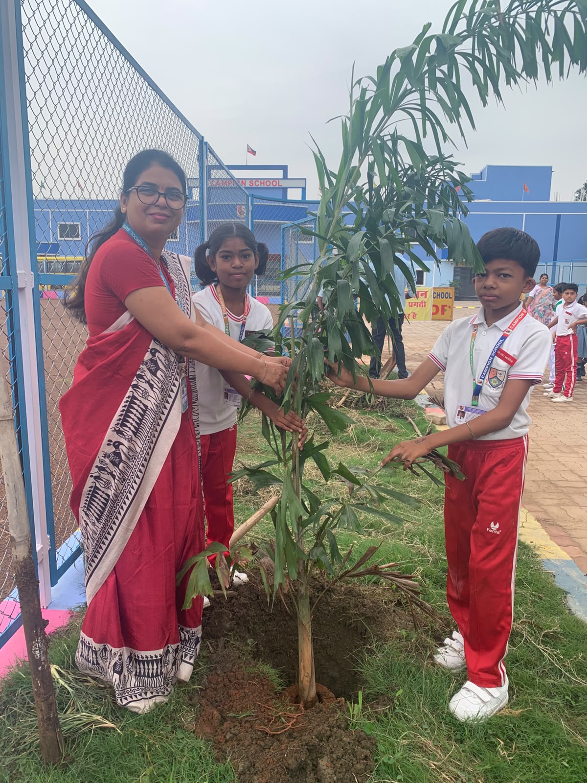 Plantation
