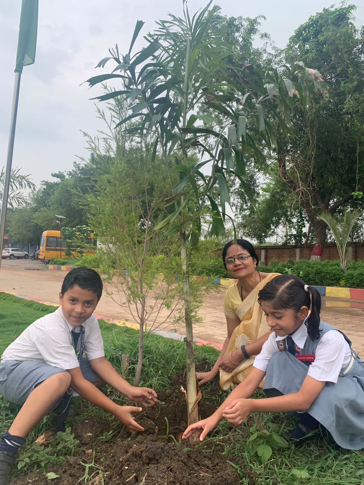 Plantation