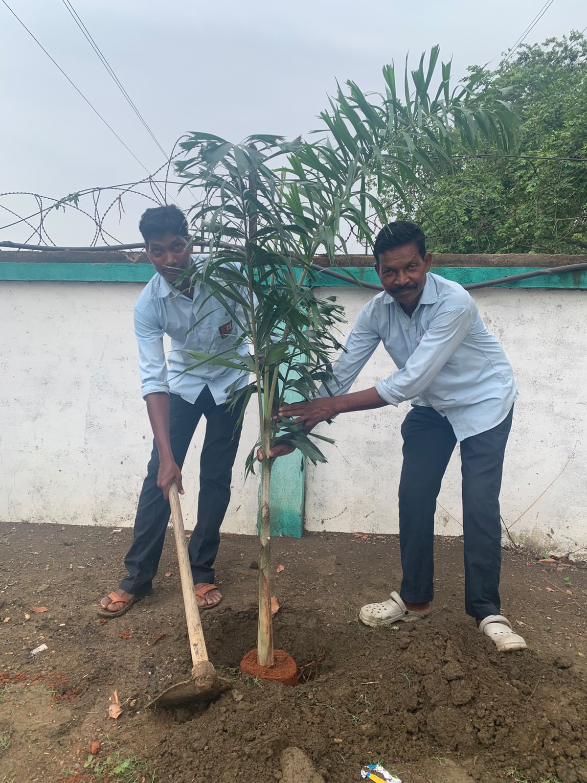 Plantation