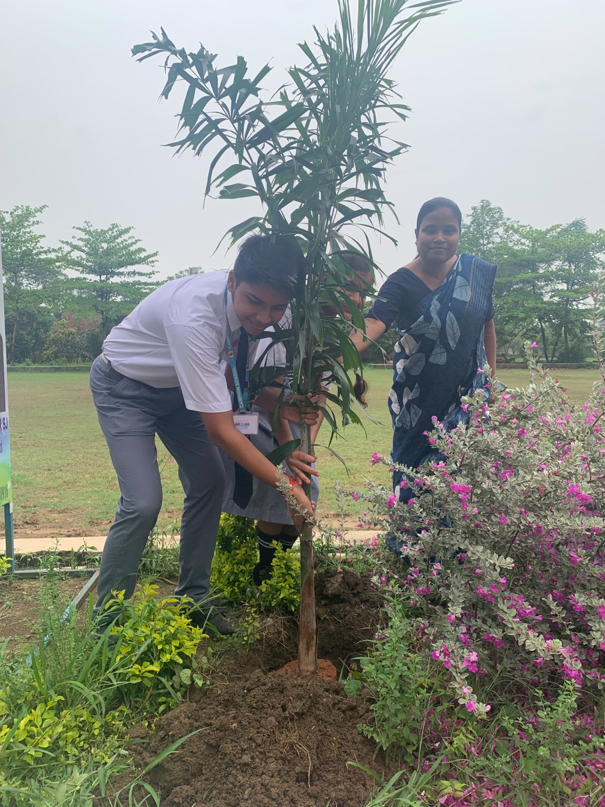 Plantation