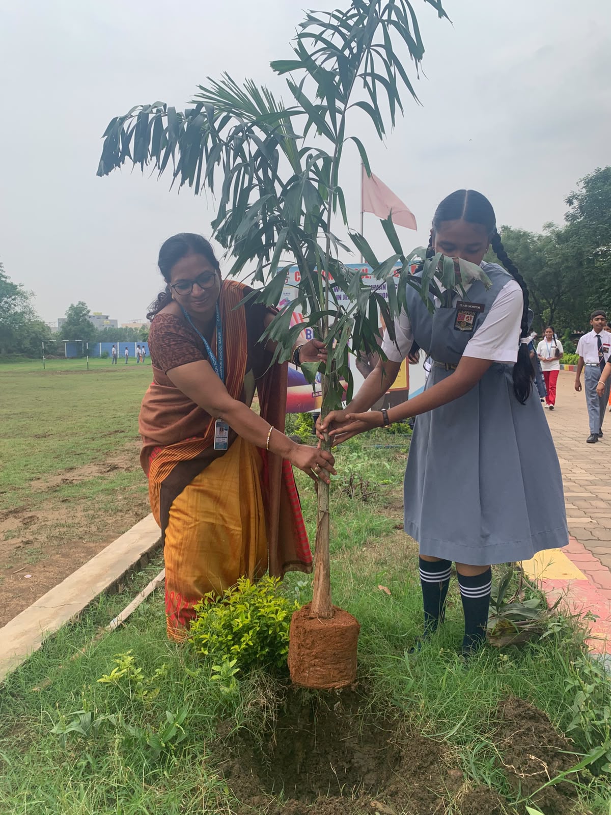 Plantation