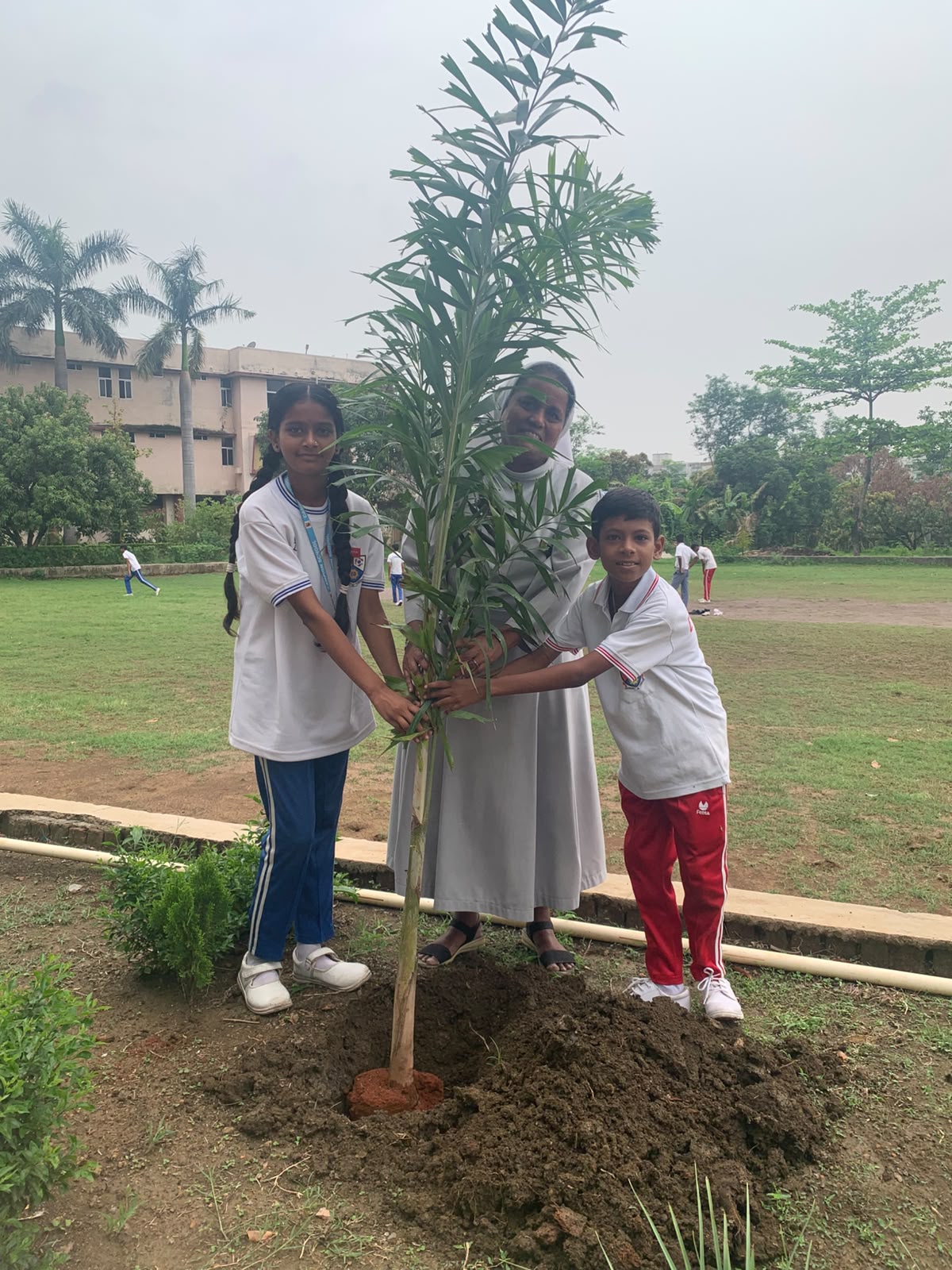 Plantation
