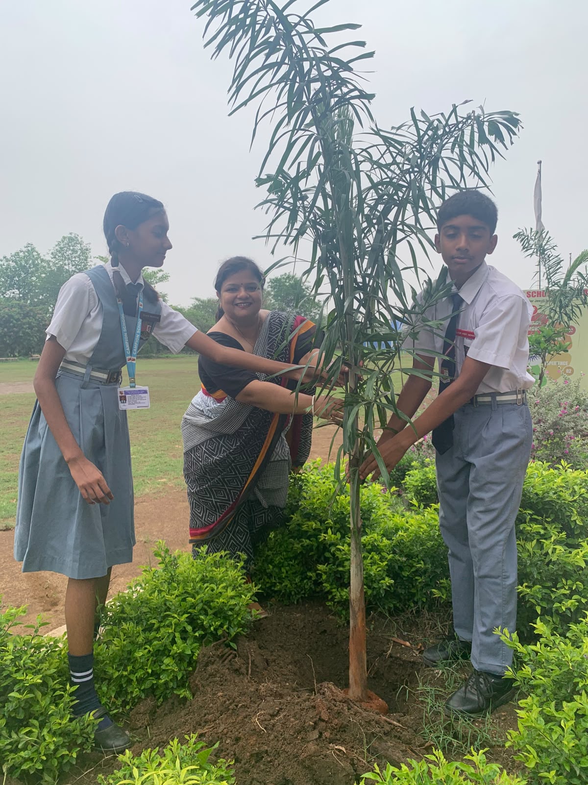 Plantation