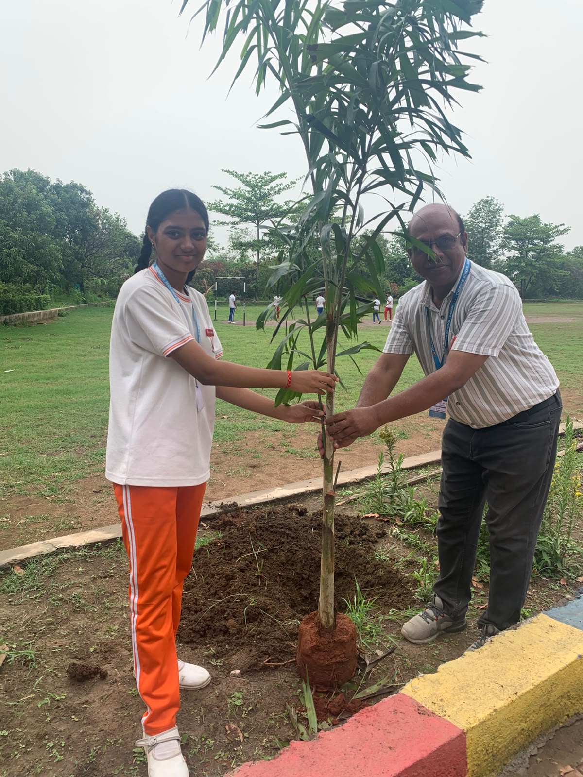 Plantation