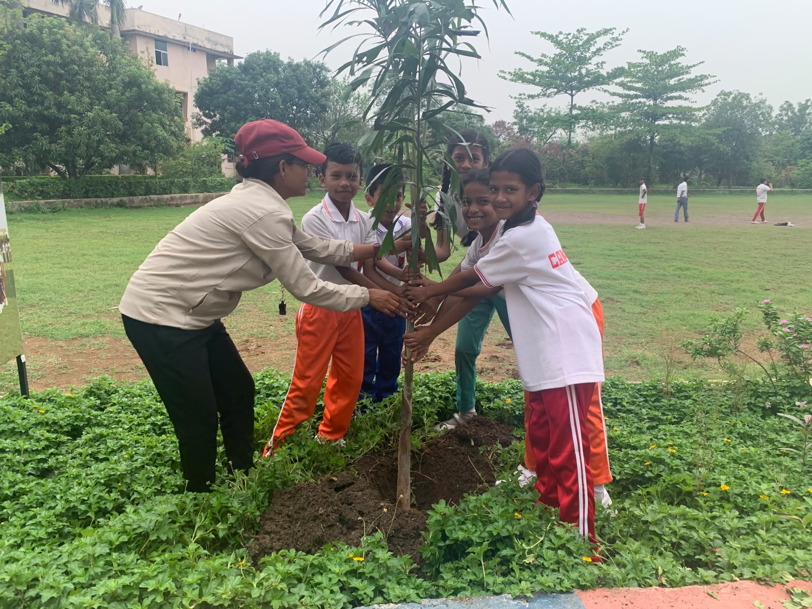 Plantation